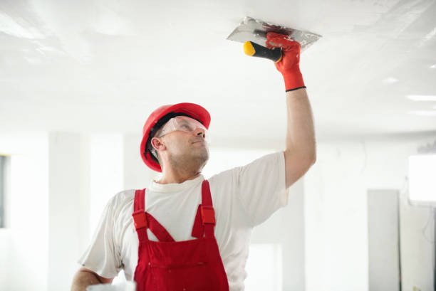 Best Mold Prevention Services  in USA